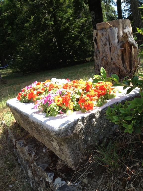 Grand Hotel Vallombrosa Saltino Luaran gambar